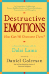 2014-12-15 The intelligent approach to violent behaviour. Book review, Destructive Emotions.