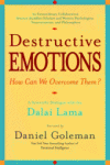 2014-12-15 The intelligent approach to violent behaviour. Book review, Destructive Emotions.