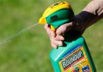 2019-09-04 Bayer’s Roundup Woes Deepen as Germany Bans Key Chemical, Wall Street Journal